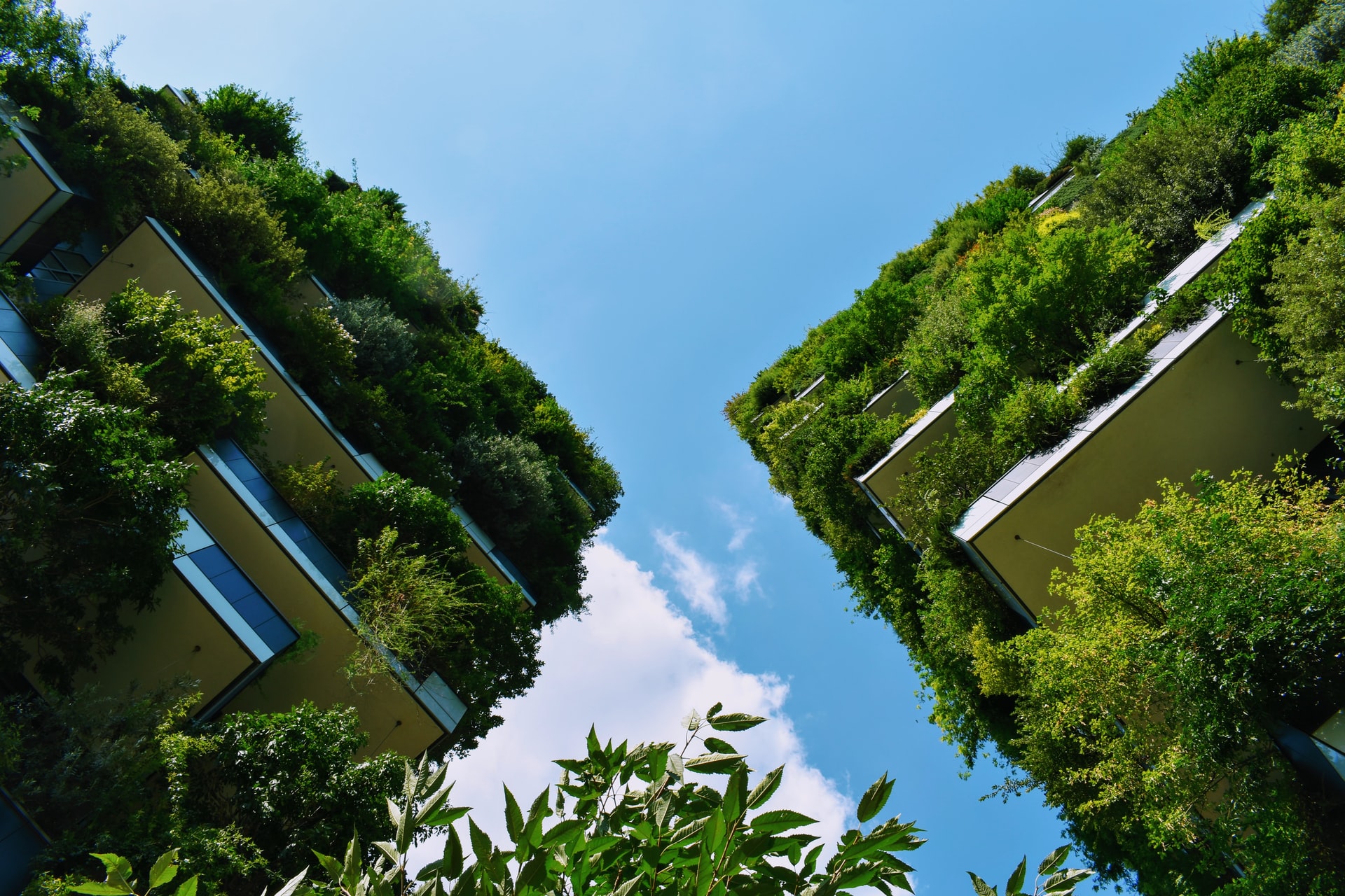 From BREEAM to Nordic Swan: a glossary of green building certifications