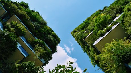 From BREEAM to Nordic Swan: a glossary of green building certifications