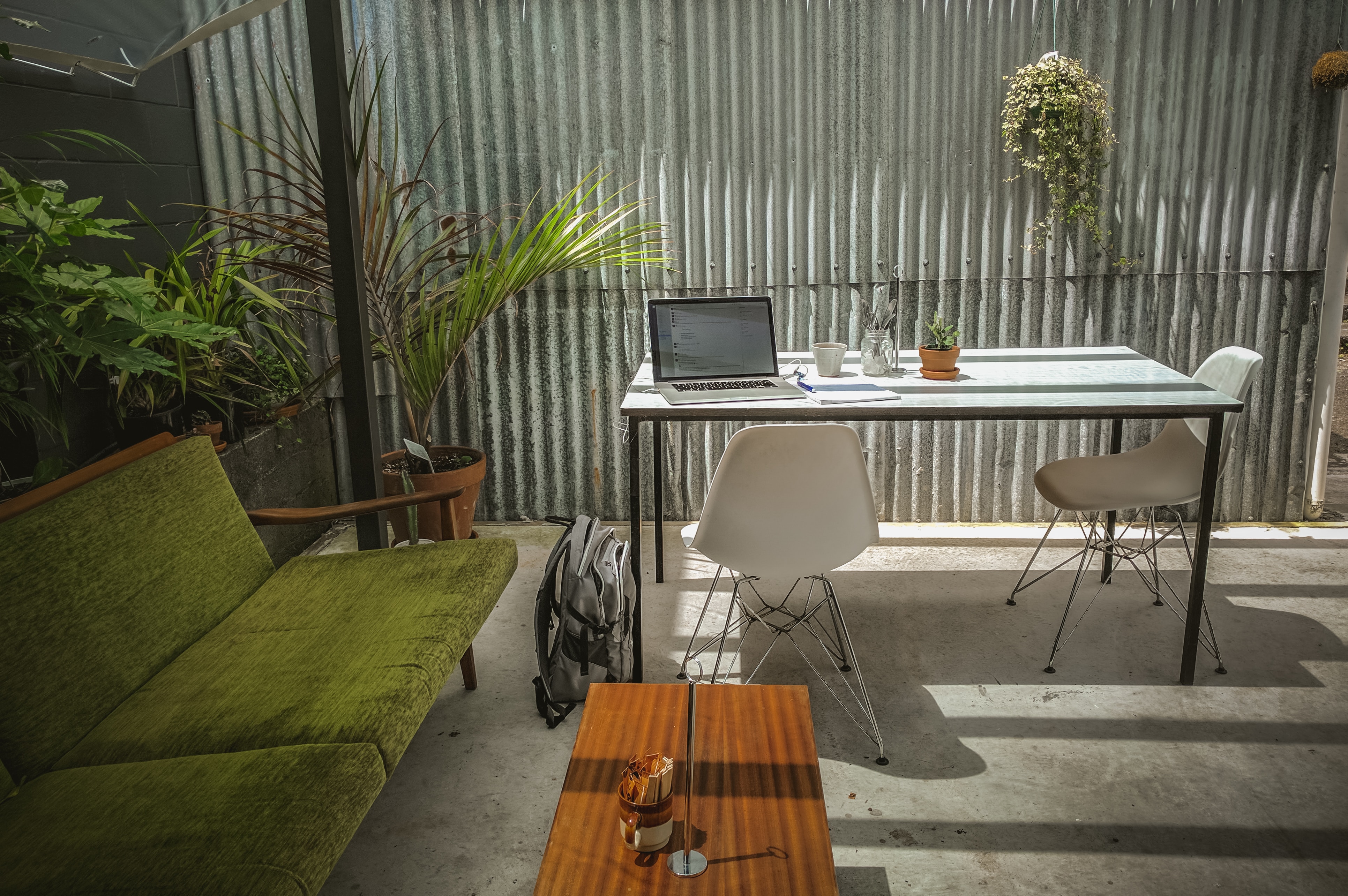 plants_in_office_nexudus_coworking_app