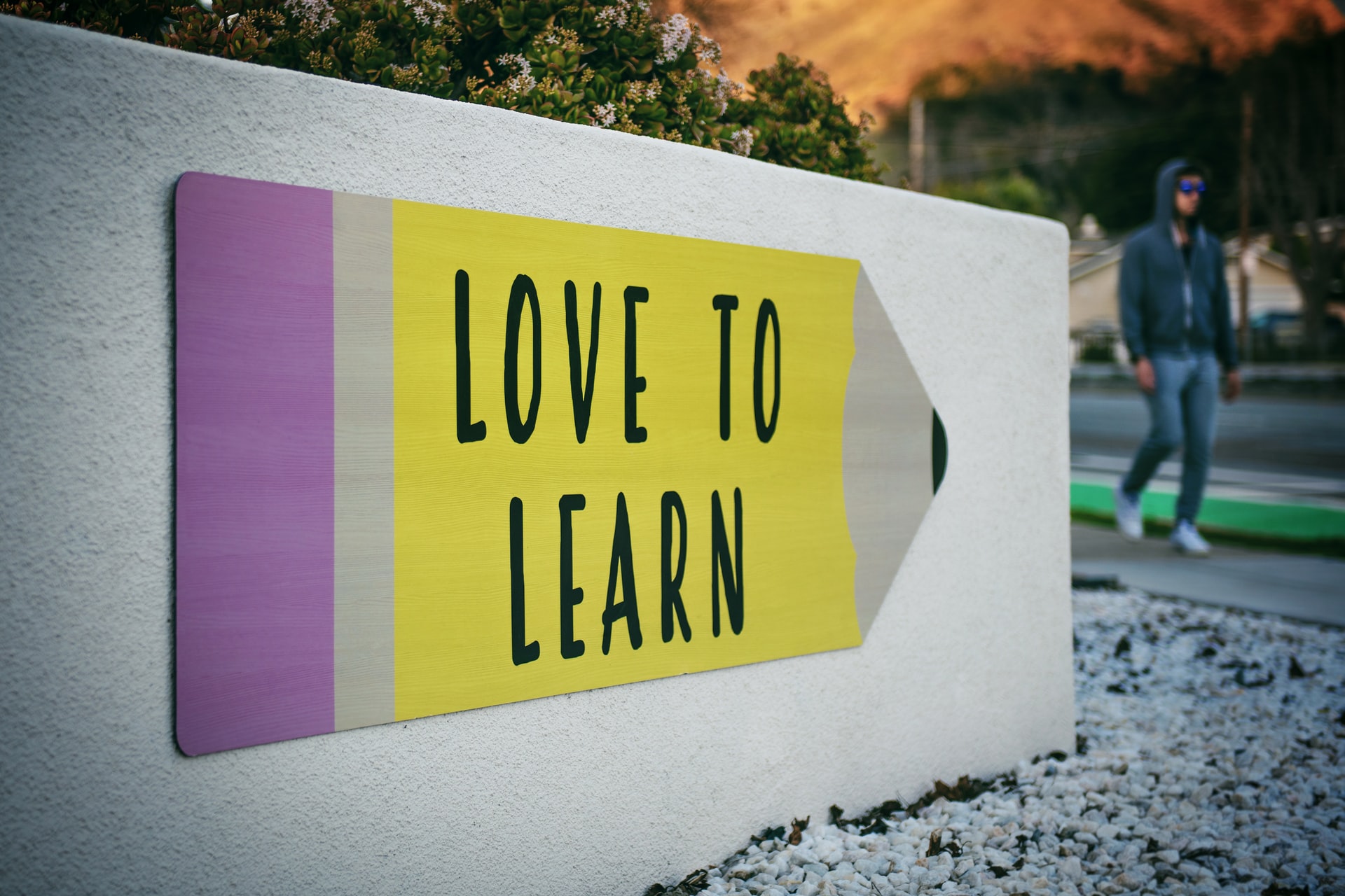 'Love to Learn' sign. Photo by @timmossholder via Unsplash